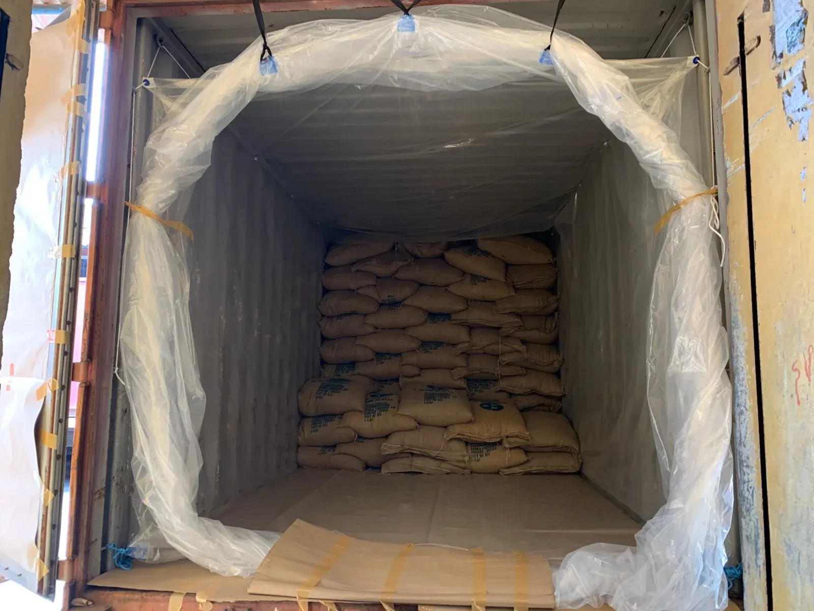 Palm sugar in container